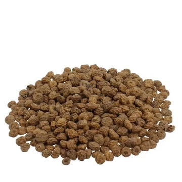 Nagy Tigrismogyoró (12-16mm) Vákuumcsomagolt 10Kg
